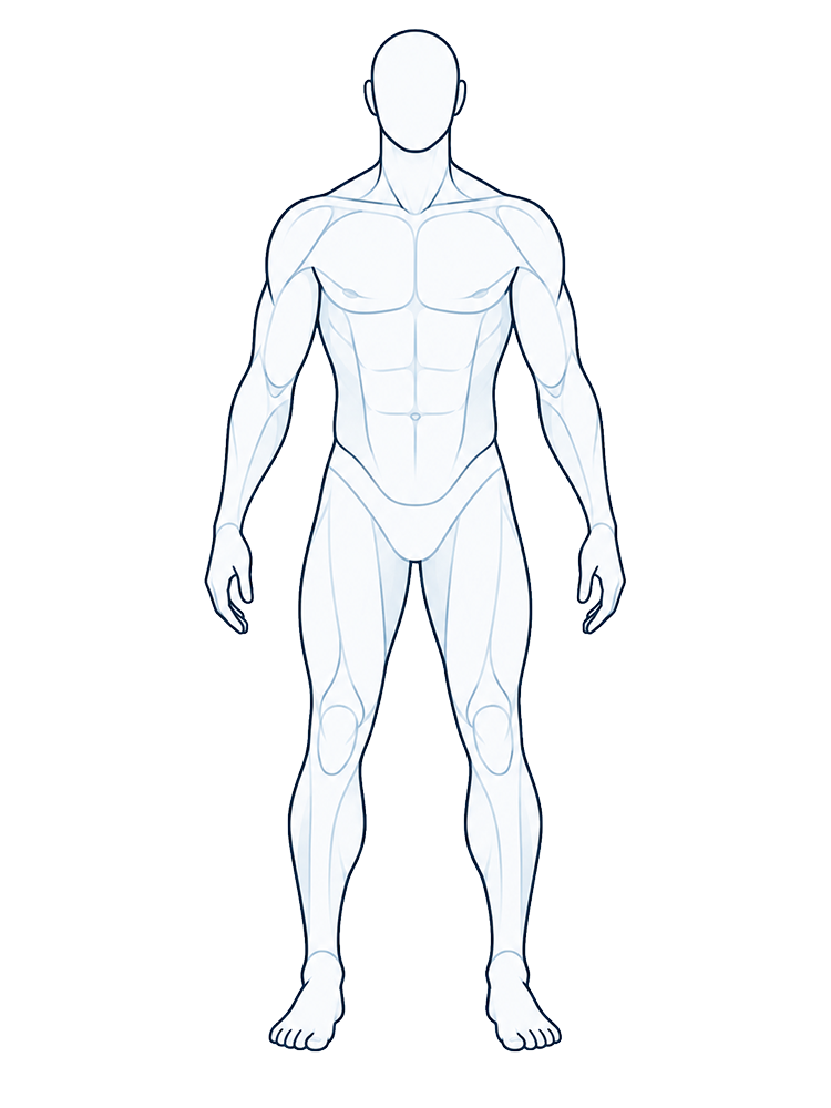 Front-view anatomical body illustration with selectable pain areas